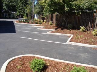 Concrete Extruded Curbing — Woodinville WA — Northshore Paving, Inc.